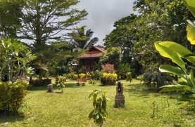 Khao Sok River & Jungle Resort