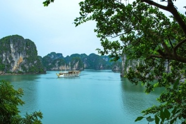 Halong Bay - Vung Vieng fishing village - Thien Canh Son cave - Cong Dam area (B, L, D)