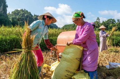 Ba Be Lake, Ban Gioc Waterfall & Ha Giang 7 Days