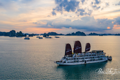 Halong Bay - Sung Sot Cave - Tuan Chau Marina – Hanoi (B, Br)