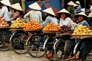 Authentic Vietnam Adventure 8 Days 7 Nights