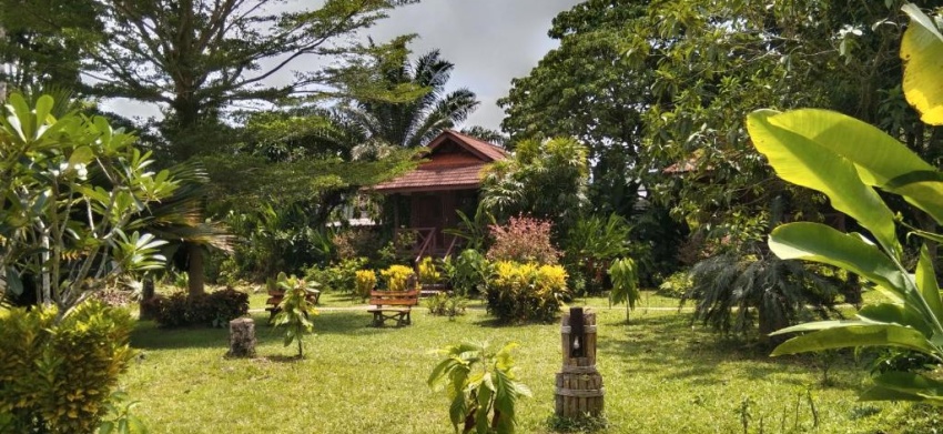 Khao Sok River & Jungle Resort