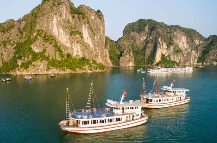 Halong Sen Day Cruise