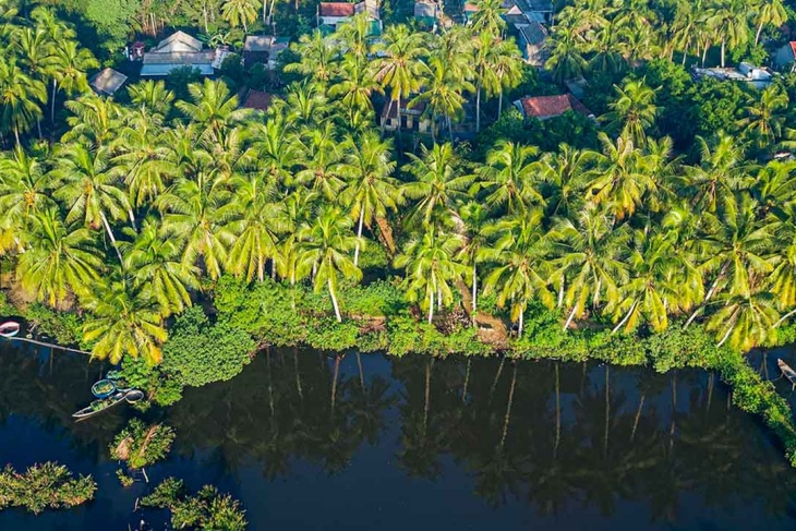 Top 12 Best Things To Do In Ben Tre, Vietnam