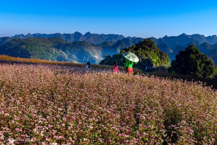 Explore Ha Giang, Vietnam: The Top 13 Places To Visit