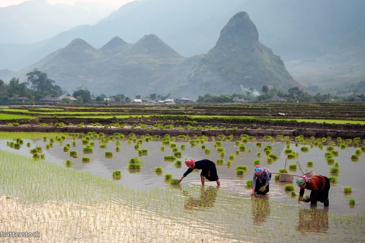 Discover Top 08 Must-do List In Lai Chau, Vietnam