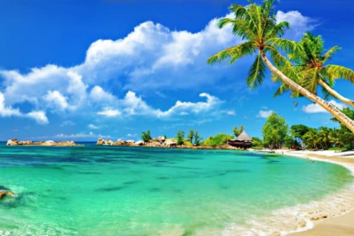 Don’t Miss These Beaches For Your Central Vietnam Beach Tour