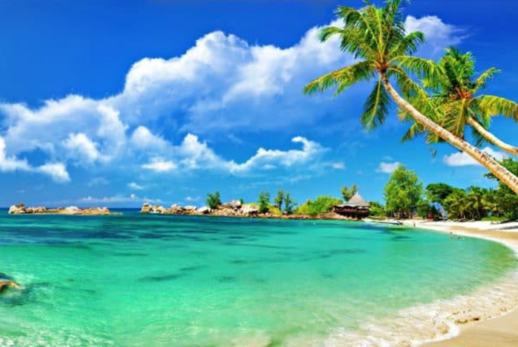 Don’t Miss These Beaches For Your Central Vietnam Beach Tour