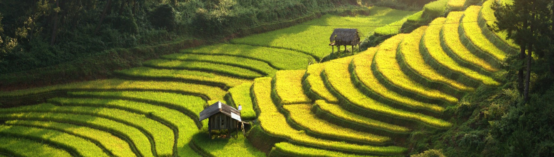 Sapa Tour From Hanoi