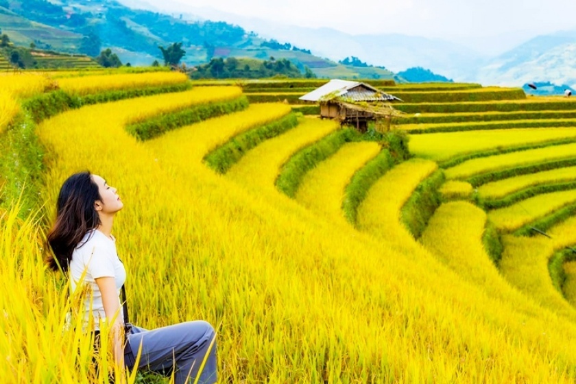 Enchanting Mu Cang Chai Delight 3 Days