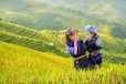 Vietnam Essential 10 Days 9 Nights