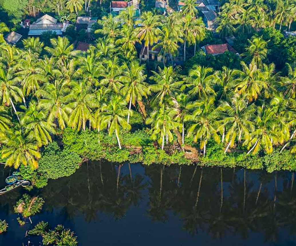 Top 12 Best Things To Do In Ben Tre, Vietnam