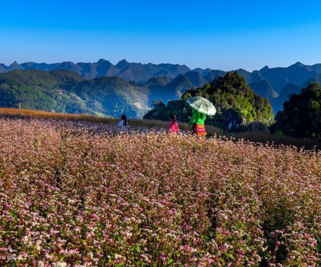 Explore Ha Giang, Vietnam: The Top 13 Places To Visit