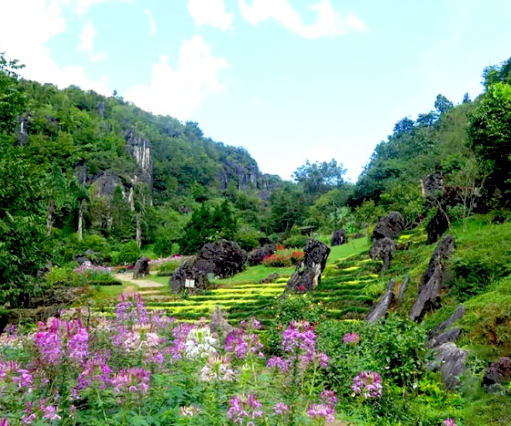 Explore Ham Rong Mountain, Sapa - A Fairy Tale Land In The Clouds