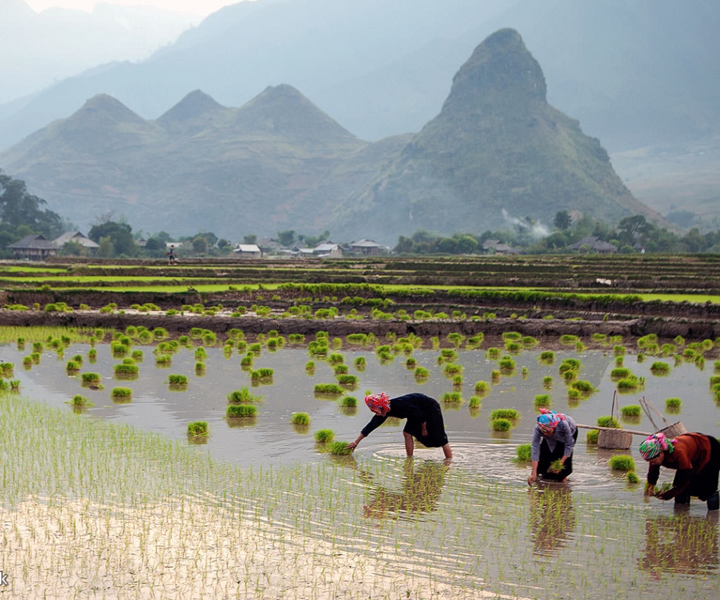 Discover Top 08 Must-do List In Lai Chau, Vietnam