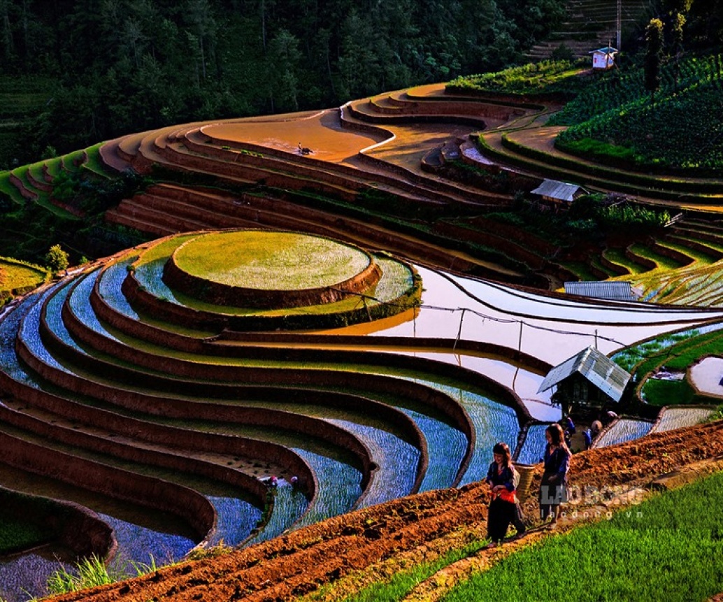 Top 07 Best Things To Do In Mu Cang Chai, Vietnam