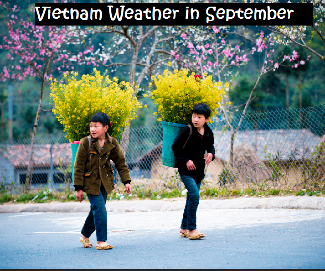 Vietnam In September: Weather, Where To Go, What To See, Itinerary And FAQ