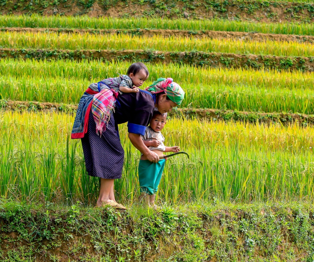 Vietnam In October: Weather, Where To Go, What To See, Itinerary And FAQ