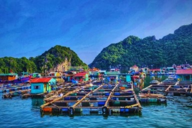 Halong Bay - Tung Sau Pearl Farm - Cua Van Floating Village (B, L, D)