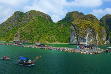 Hanoi - Hai Phong – Cai Trap Canal - Ba Trai Dao islets (L, D)