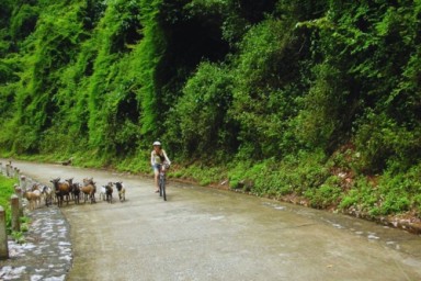 Halong Bay - Viet Hai village - Ba Ham Lake (B, L, D)