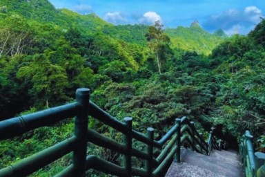 Lan Ha bay - Trung Trang cave - Tuan Chau Marina – Hanoi (B, Br)