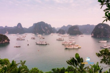 Halong Bay Day Cruise (4 Hours - Lunch Cruise)