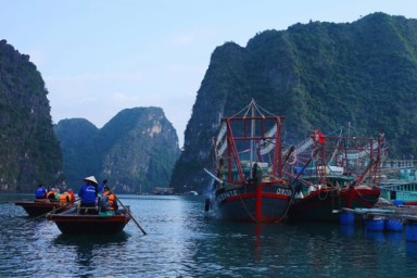 Lan Ha bay - Dark and Bright Cave - Tuan Chau Marina – Hanoi (B, Br)