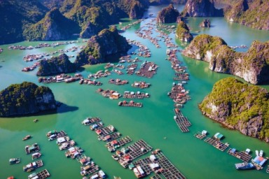 Bai Tu Long bay - Vung Vieng Fishing village - Cong Dam area (B, L, D)