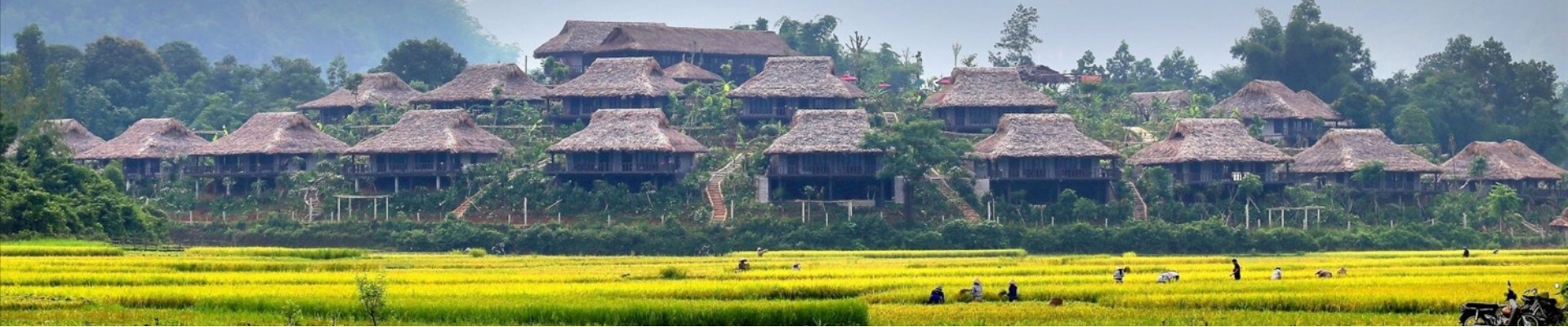 Mai Chau 