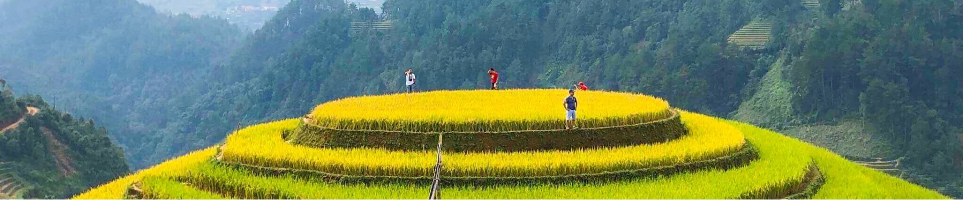 Mu Cang Chai