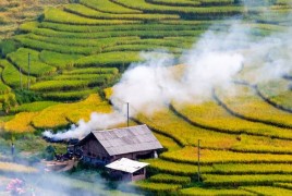 Sapa