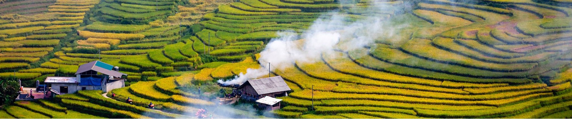 Sapa