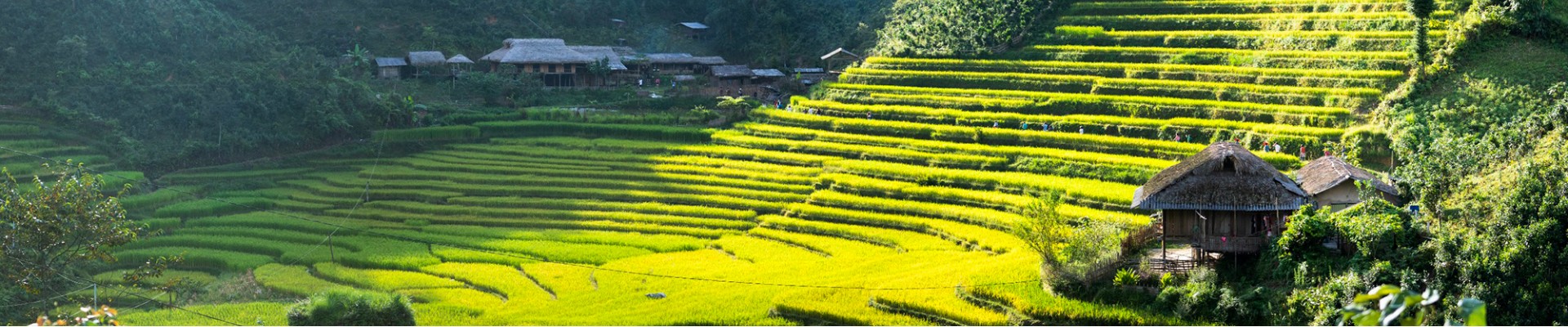 Bac Ha 
