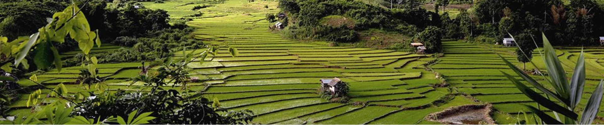Phongsaly