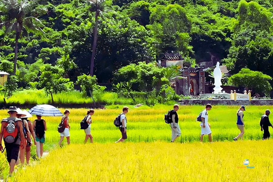Auasia Travel – Best Hiking and Trekking Tours in Southeast Asia