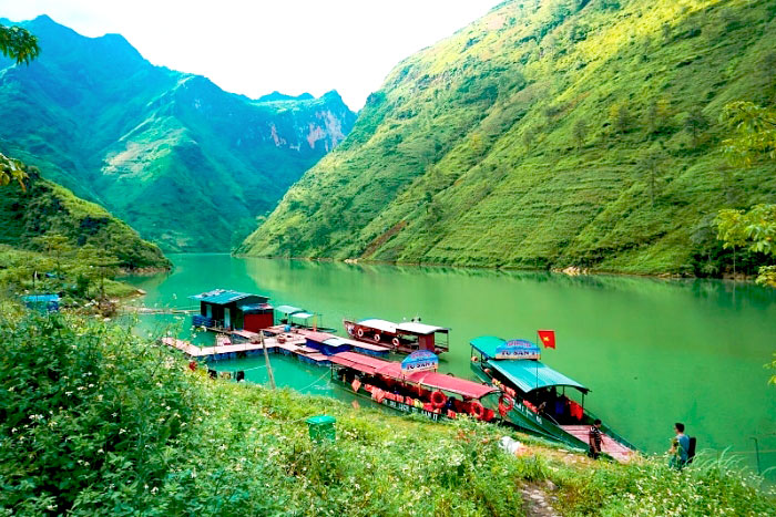 Experience river boat cruise on the Nho Que River