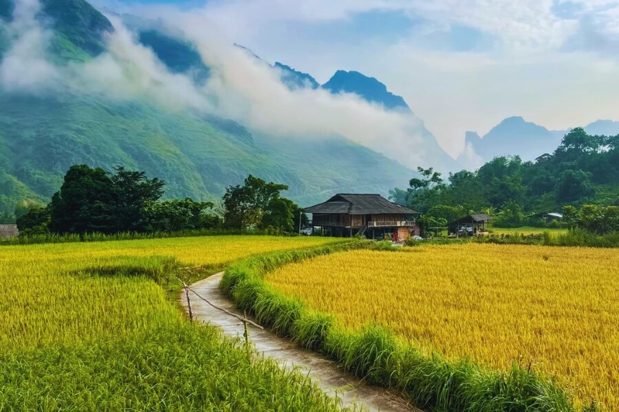 Ha Giang Loop 5 Days Private Tour from Hanoi | Nho Que & Du Gia
