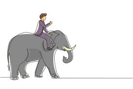 Elephant Ride